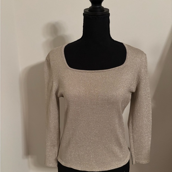 Ann Taylor Tops - Ann Taylor Metallic Beige Knit Top